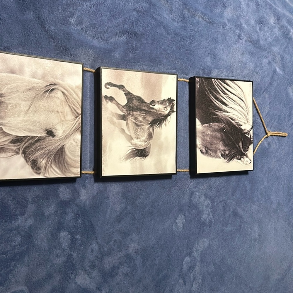 Western wall Decor